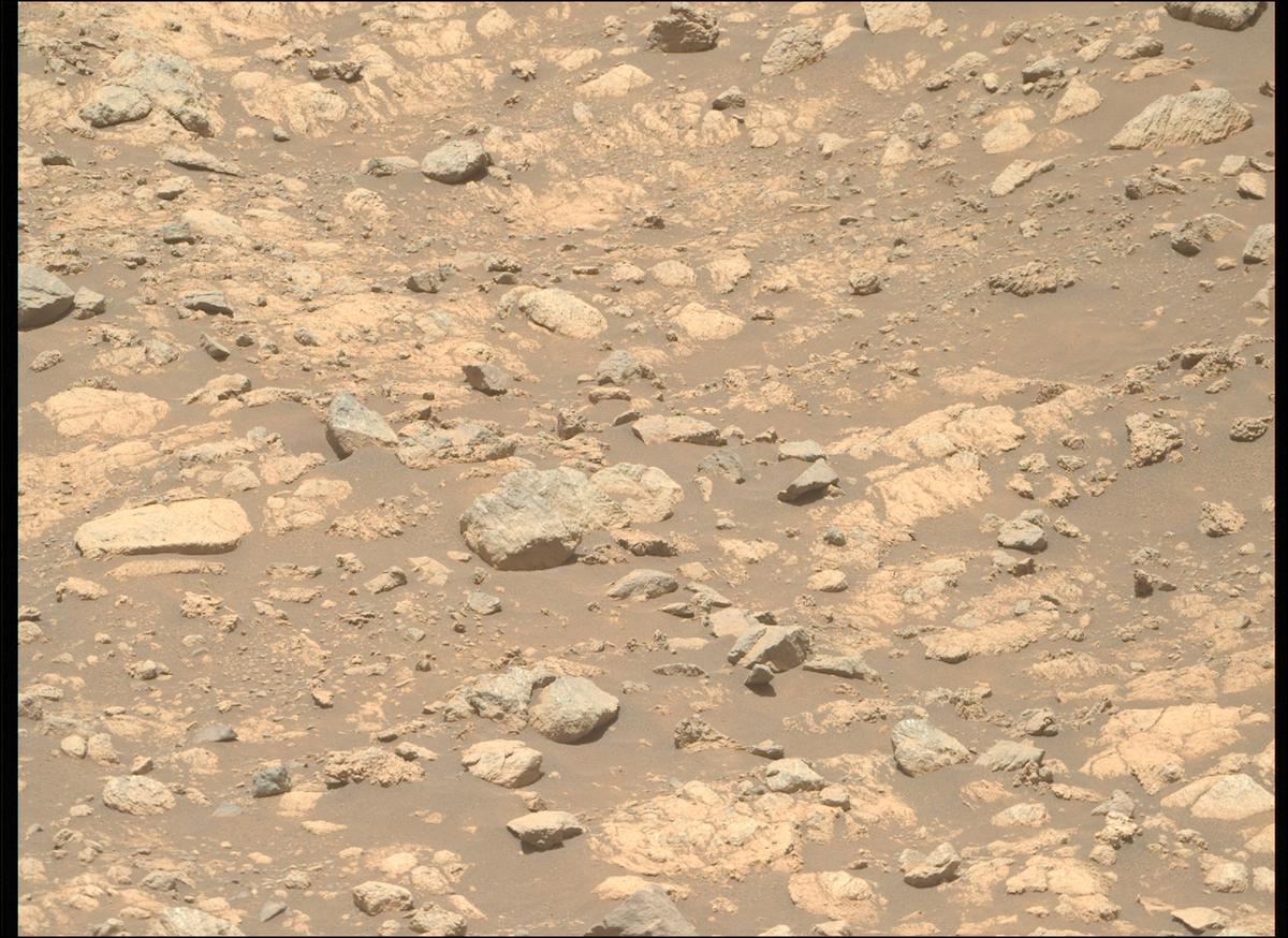 This image was taken by MCZ_RIGHT onboard NASA's Mars rover Perseverance on Sol 1633