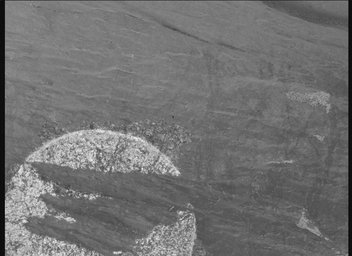 This image was taken by SHERLOC_WATSON onboard NASA's Mars rover Perseverance on Sol 1634