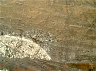 View image taken on Mars, Mars Perseverance Sol 1634: WATSON Camera 