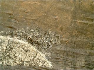 View image taken on Mars, Mars Perseverance Sol 1634: WATSON Camera 