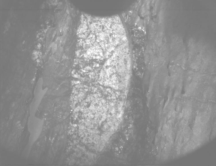 This image was taken by PIXL_MCC onboard NASA's Mars rover Perseverance on Sol 1635