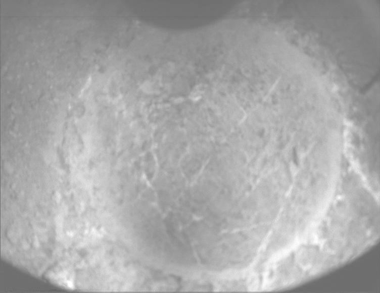 This image was taken by PIXL_MCC onboard NASA's Mars rover Perseverance on Sol 1637