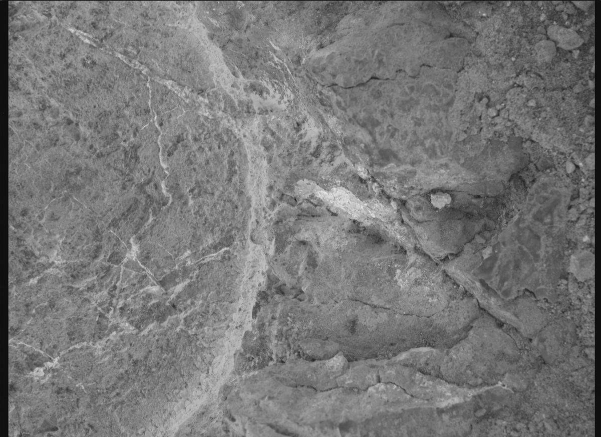 This image was taken by SHERLOC_WATSON onboard NASA's Mars rover Perseverance on Sol 1637