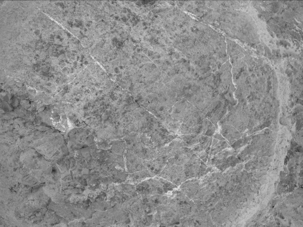 This image was taken by SHERLOC_WATSON onboard NASA's Mars rover Perseverance on Sol 1637