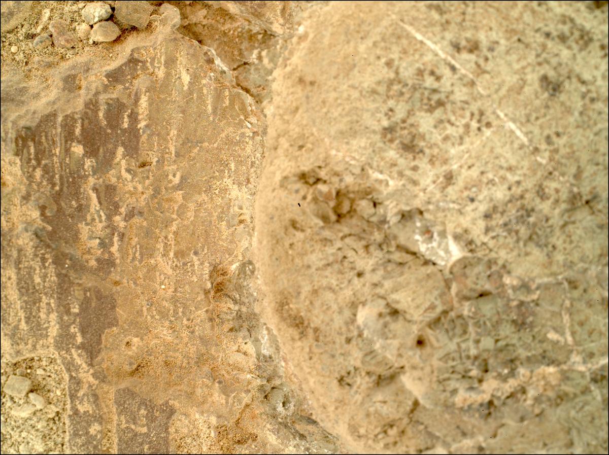 This image was taken by SHERLOC_WATSON onboard NASA's Mars rover Perseverance on Sol 1637