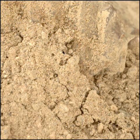 This image was taken by SHERLOC_WATSON onboard NASA's Mars rover Perseverance on Sol 1637