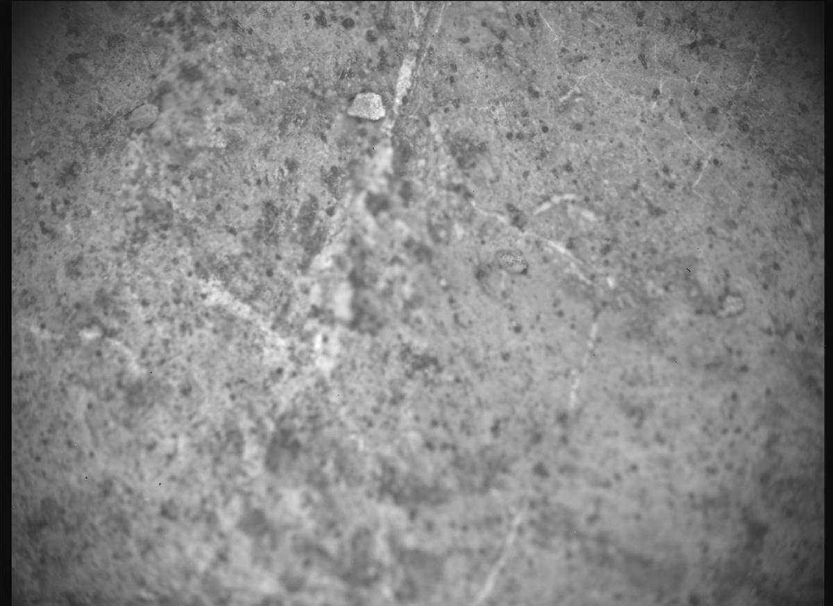 This image was taken by SHERLOC_ACI onboard NASA's Mars rover Perseverance on Sol 1640