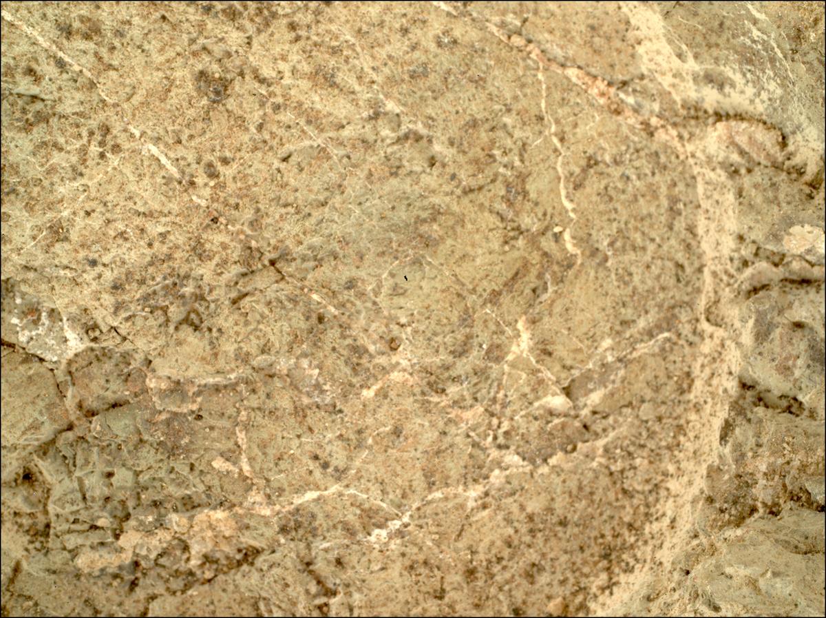 This image was taken by SHERLOC_WATSON onboard NASA's Mars rover Perseverance on Sol 1640