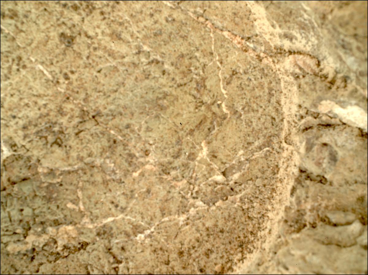 This image was taken by SHERLOC_WATSON onboard NASA's Mars rover Perseverance on Sol 1640