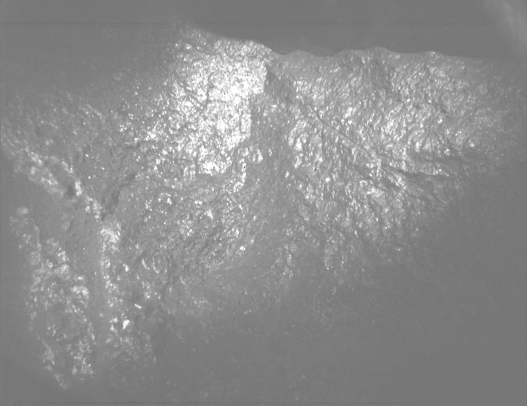 This image was taken by PIXL_MCC onboard NASA's Mars rover Perseverance on Sol 1644