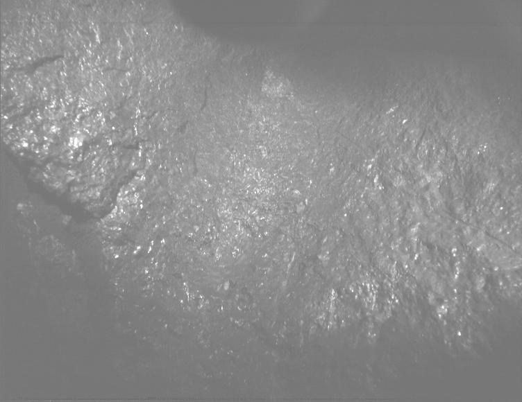 This image was taken by PIXL_MCC onboard NASA's Mars rover Perseverance on Sol 1644