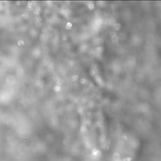 View image taken on Mars, Mars Perseverance Sol 1644: SHERLOC ACI Camera 