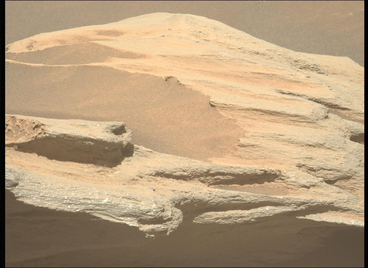 This image was taken by MCZ_LEFT onboard NASA's Mars rover Perseverance on Sol 1644