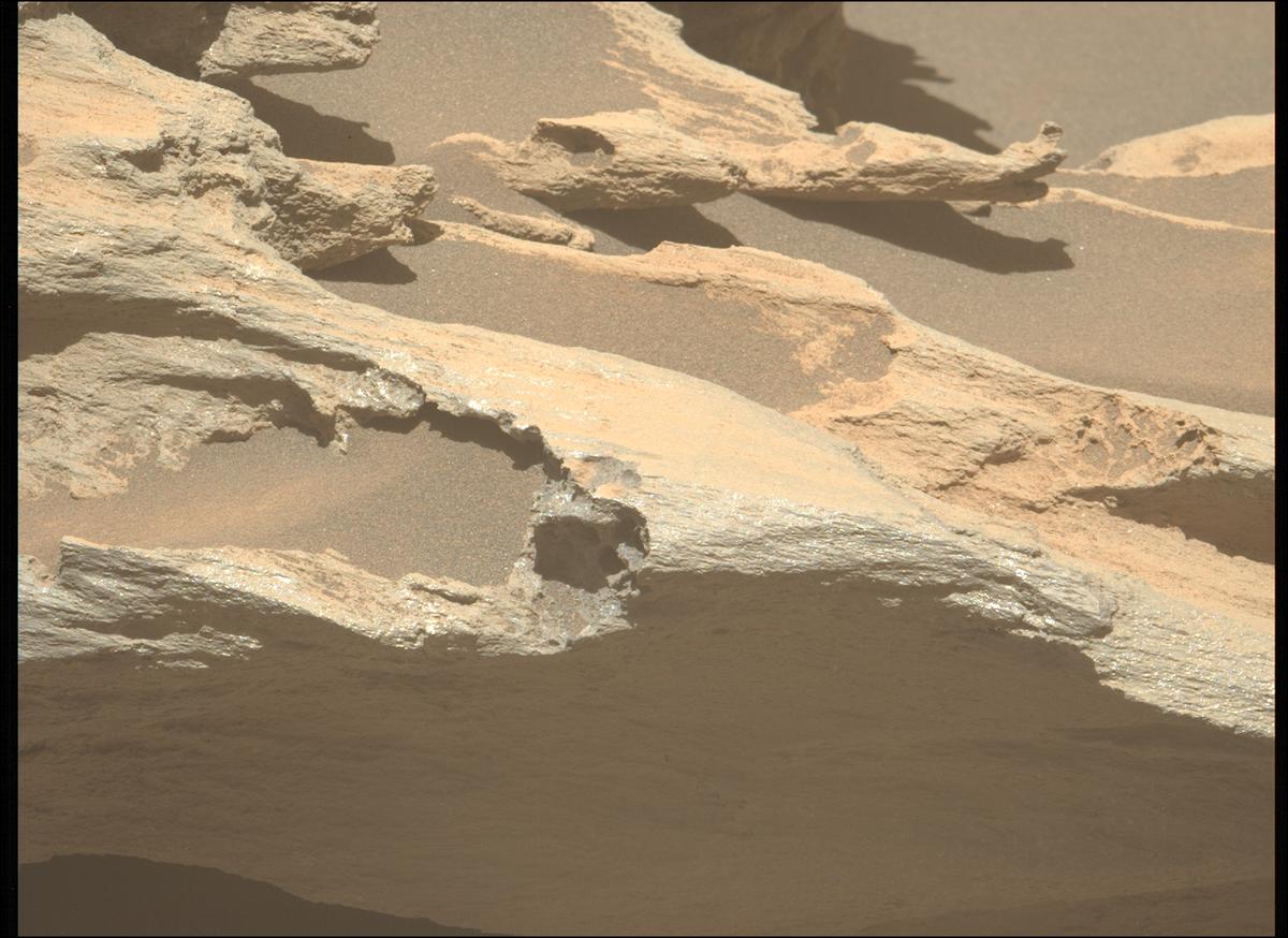 This image was taken by MCZ_LEFT onboard NASA's Mars rover Perseverance on Sol 1644
