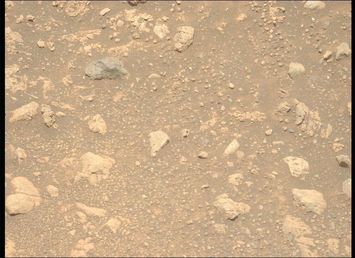 This image was taken by MCZ_LEFT onboard NASA's Mars rover Perseverance on Sol 1644