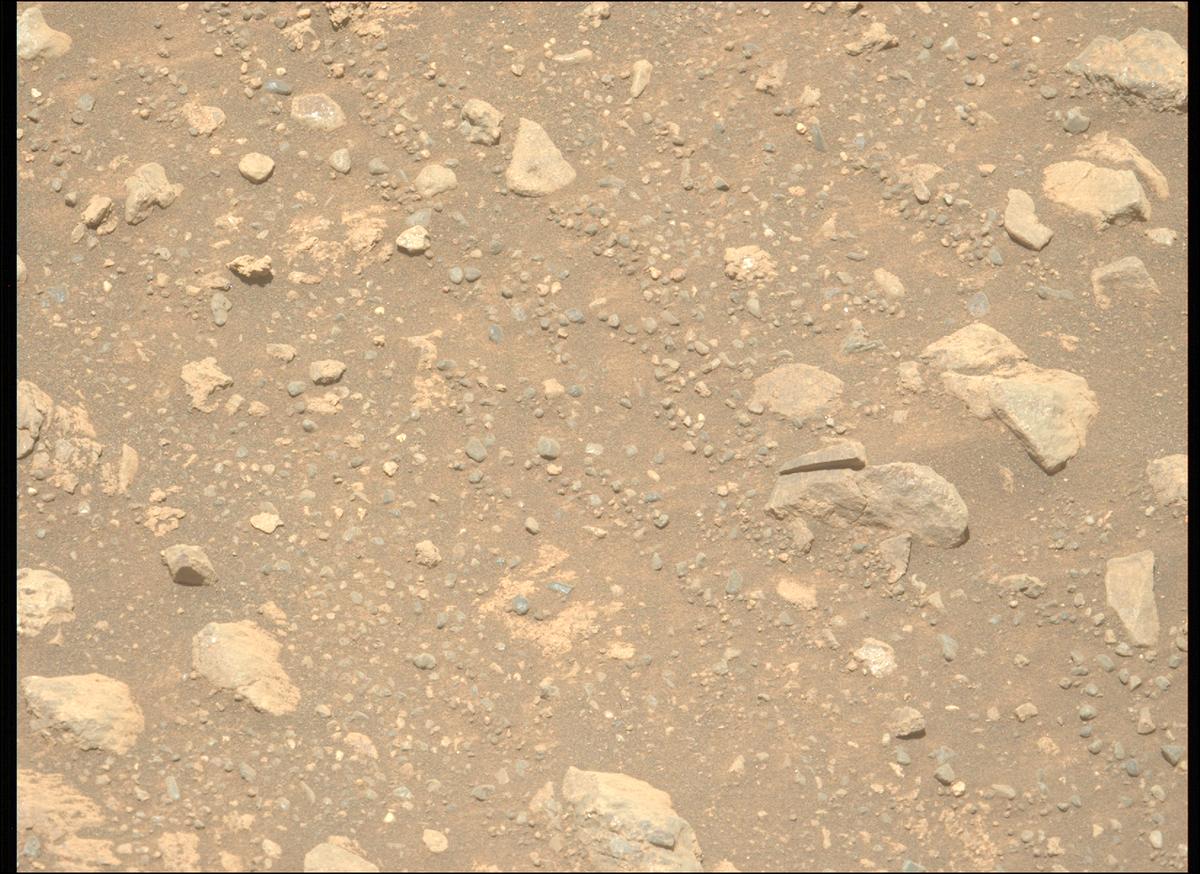 This image was taken by MCZ_LEFT onboard NASA's Mars rover Perseverance on Sol 1644