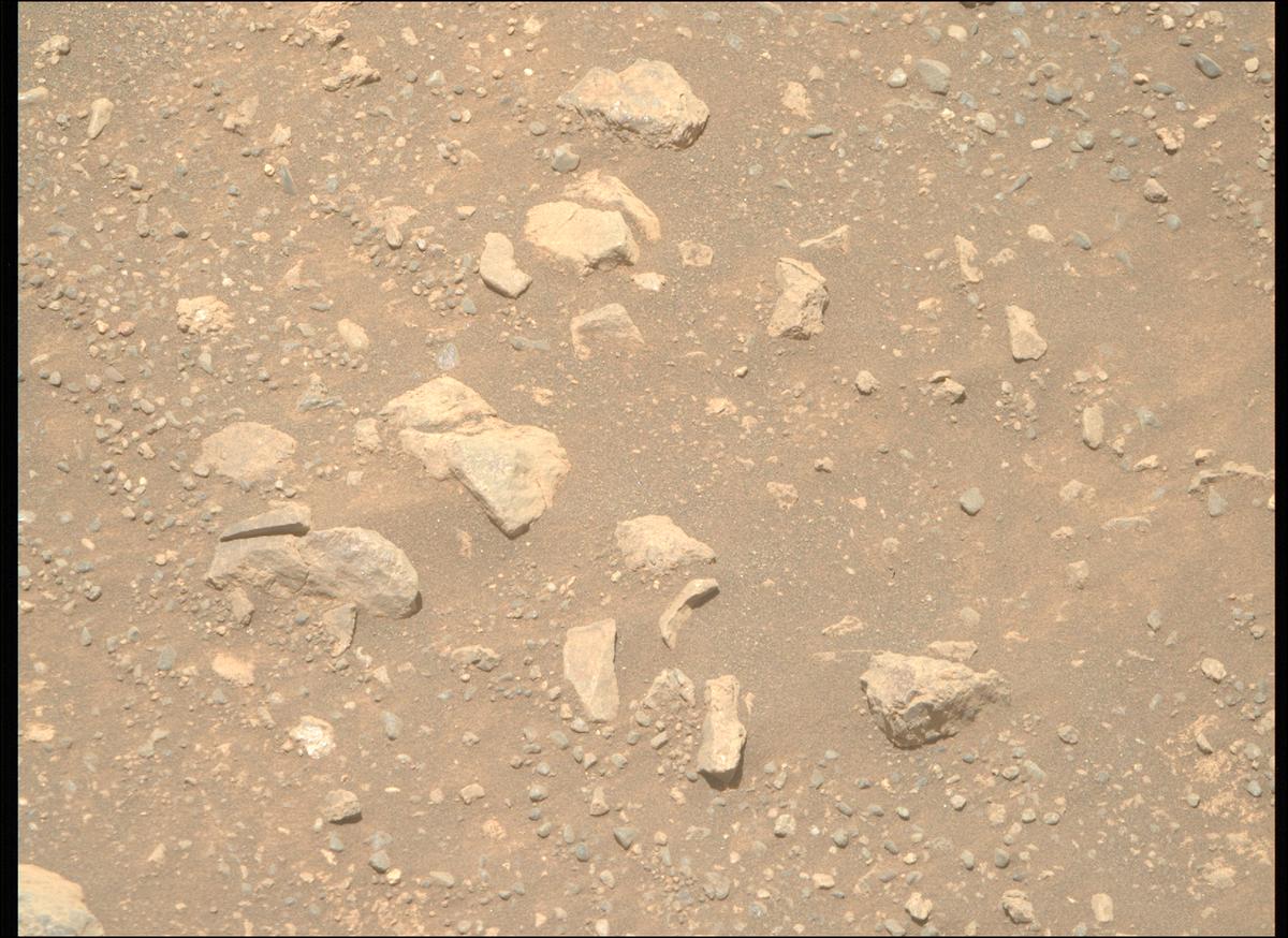 This image was taken by MCZ_RIGHT onboard NASA's Mars rover Perseverance on Sol 1644