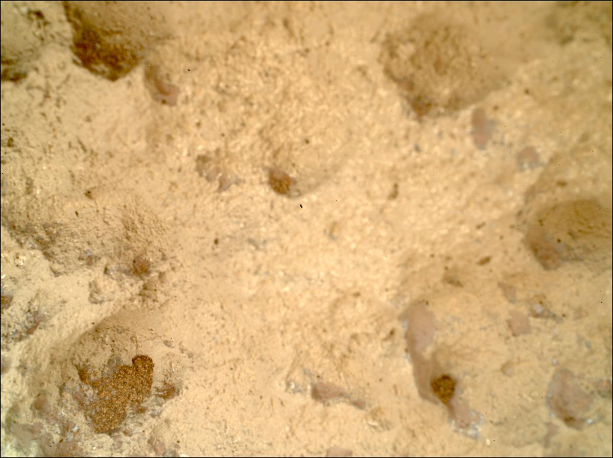 This image was taken by SHERLOC_WATSON onboard NASA's Mars rover Perseverance on Sol 1645