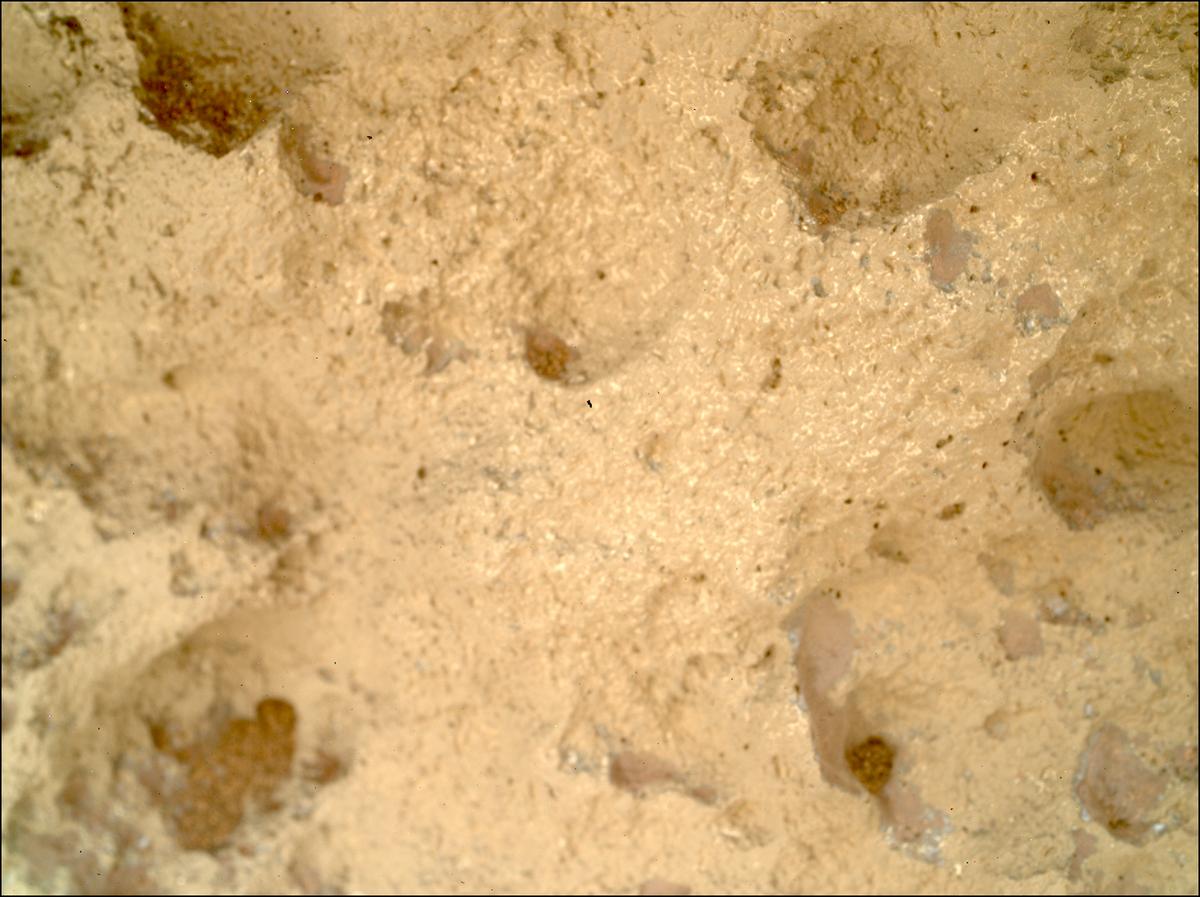 This image was taken by SHERLOC_WATSON onboard NASA's Mars rover Perseverance on Sol 1645