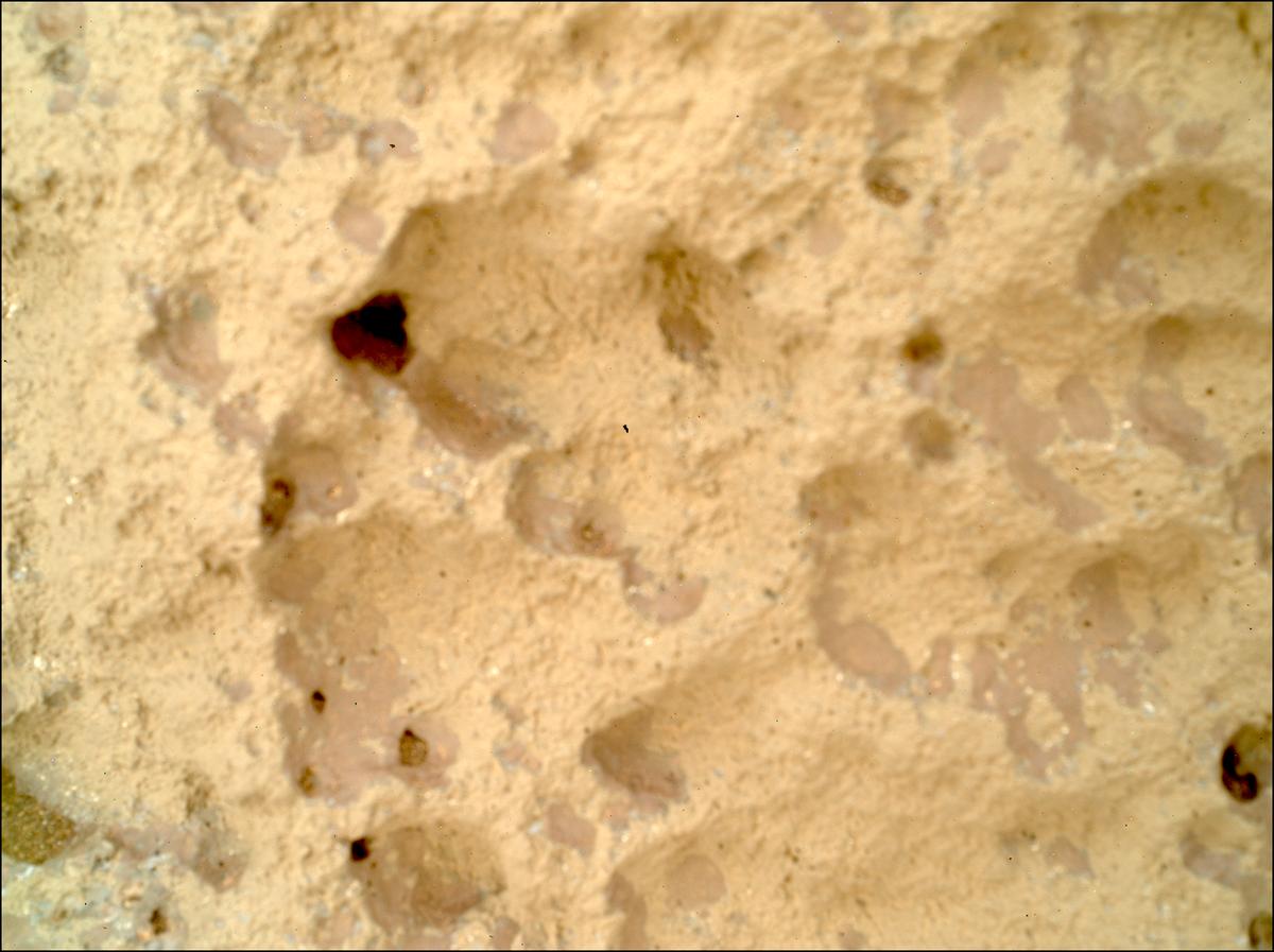 This image was taken by SHERLOC_WATSON onboard NASA's Mars rover Perseverance on Sol 1645