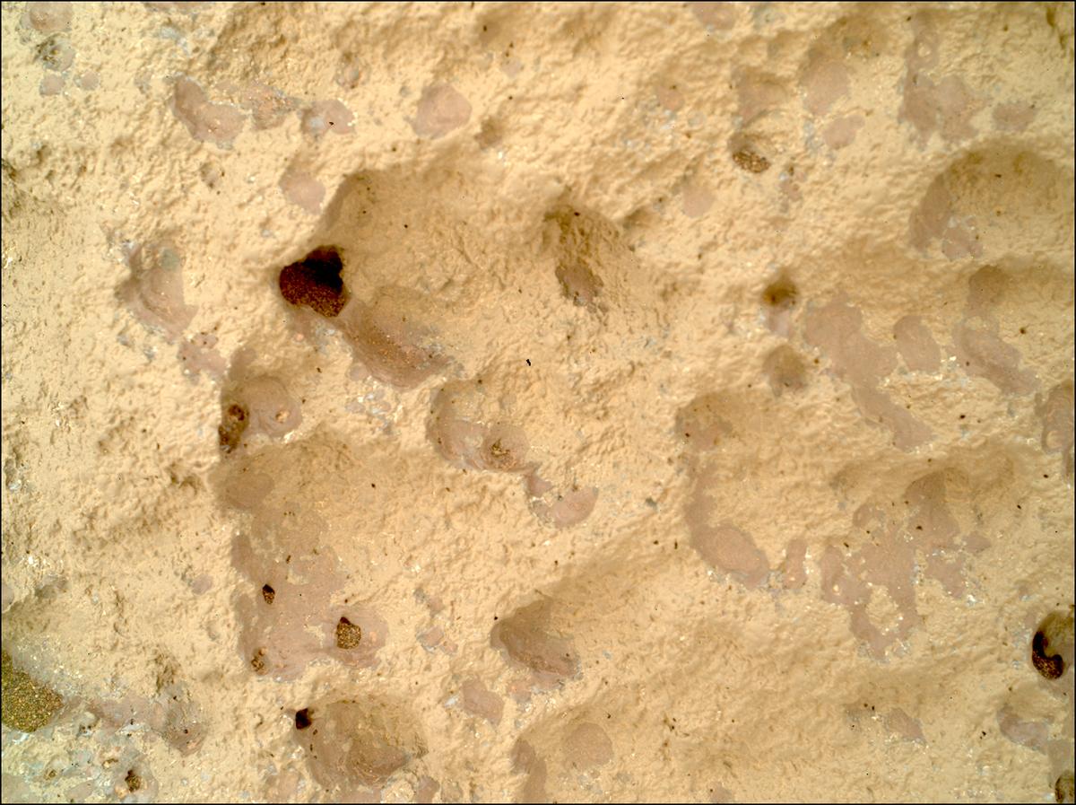 This image was taken by SHERLOC_WATSON onboard NASA's Mars rover Perseverance on Sol 1645