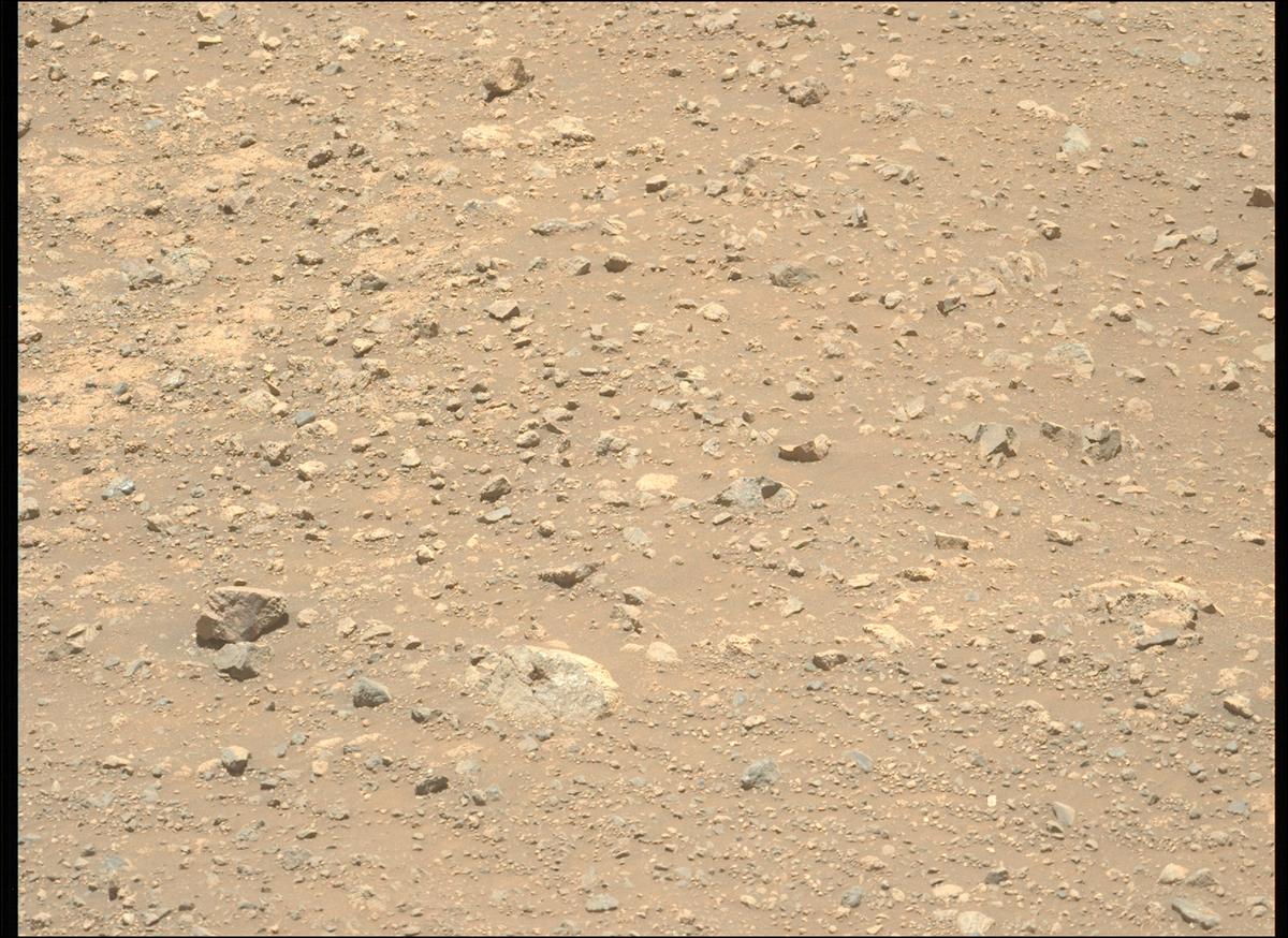 This image was taken by MCZ_LEFT onboard NASA's Mars rover Perseverance on Sol 1645
