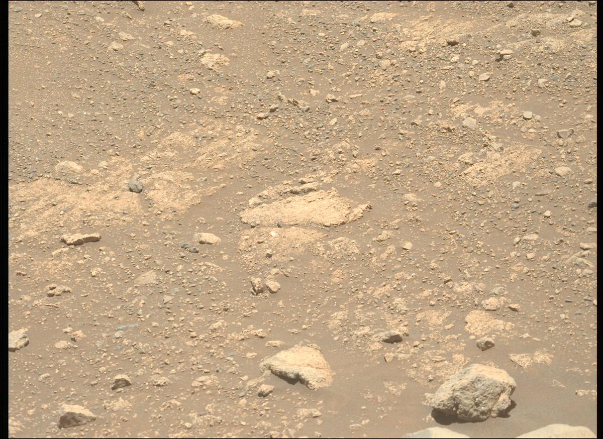 This image was taken by MCZ_LEFT onboard NASA's Mars rover Perseverance on Sol 1645
