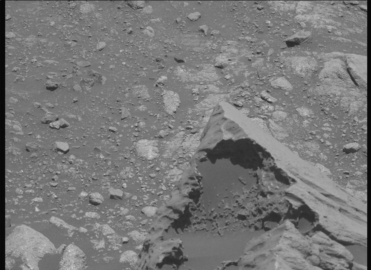 This image was taken by MCZ_LEFT onboard NASA's Mars rover Perseverance on Sol 1645