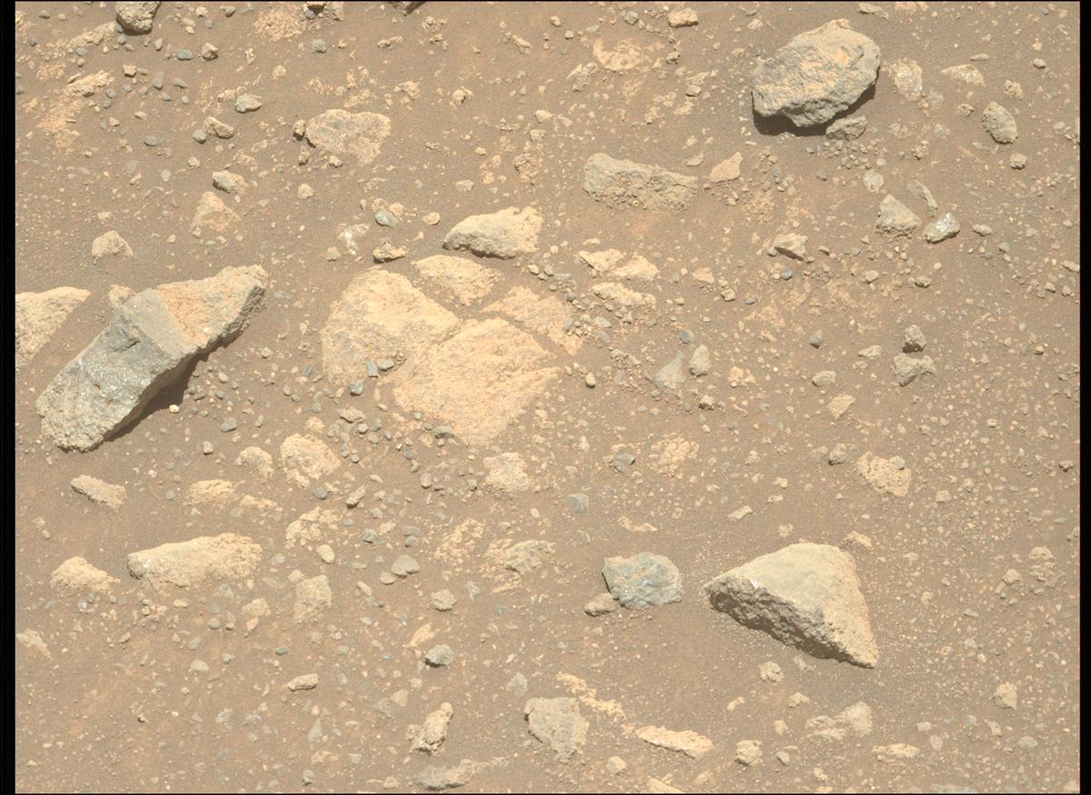 This image was taken by MCZ_LEFT onboard NASA's Mars rover Perseverance on Sol 1645
