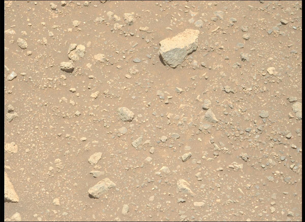 This image was taken by MCZ_LEFT onboard NASA's Mars rover Perseverance on Sol 1645
