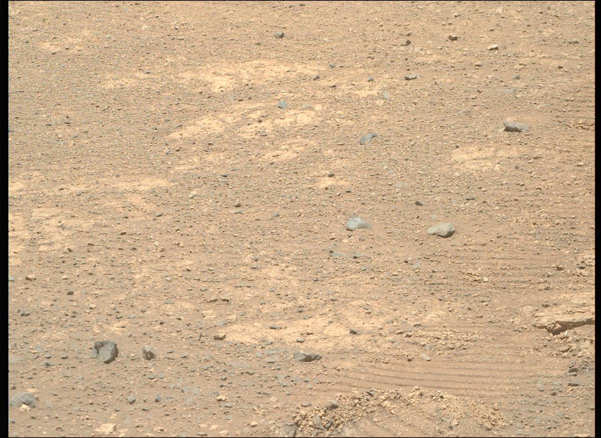 This image was taken by MCZ_RIGHT onboard NASA's Mars rover Perseverance on Sol 1645