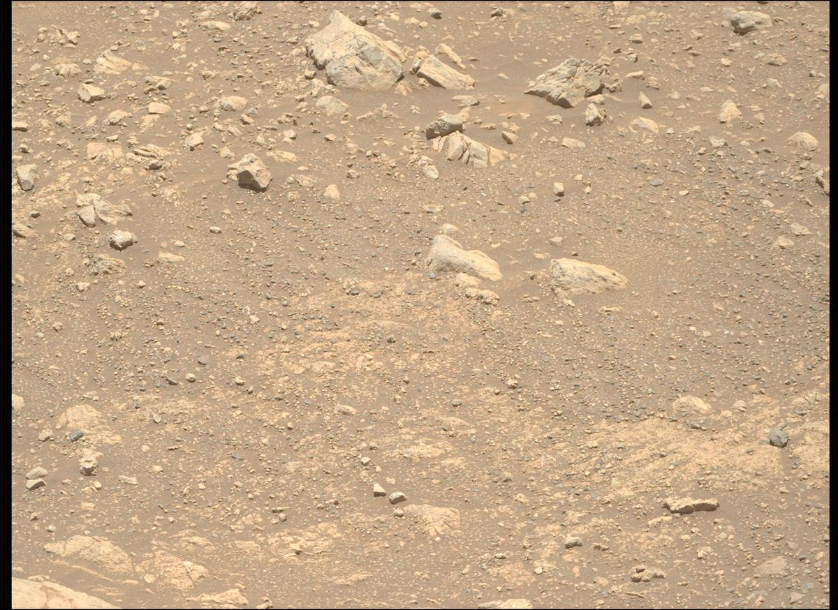 This image was taken by MCZ_RIGHT onboard NASA's Mars rover Perseverance on Sol 1645
