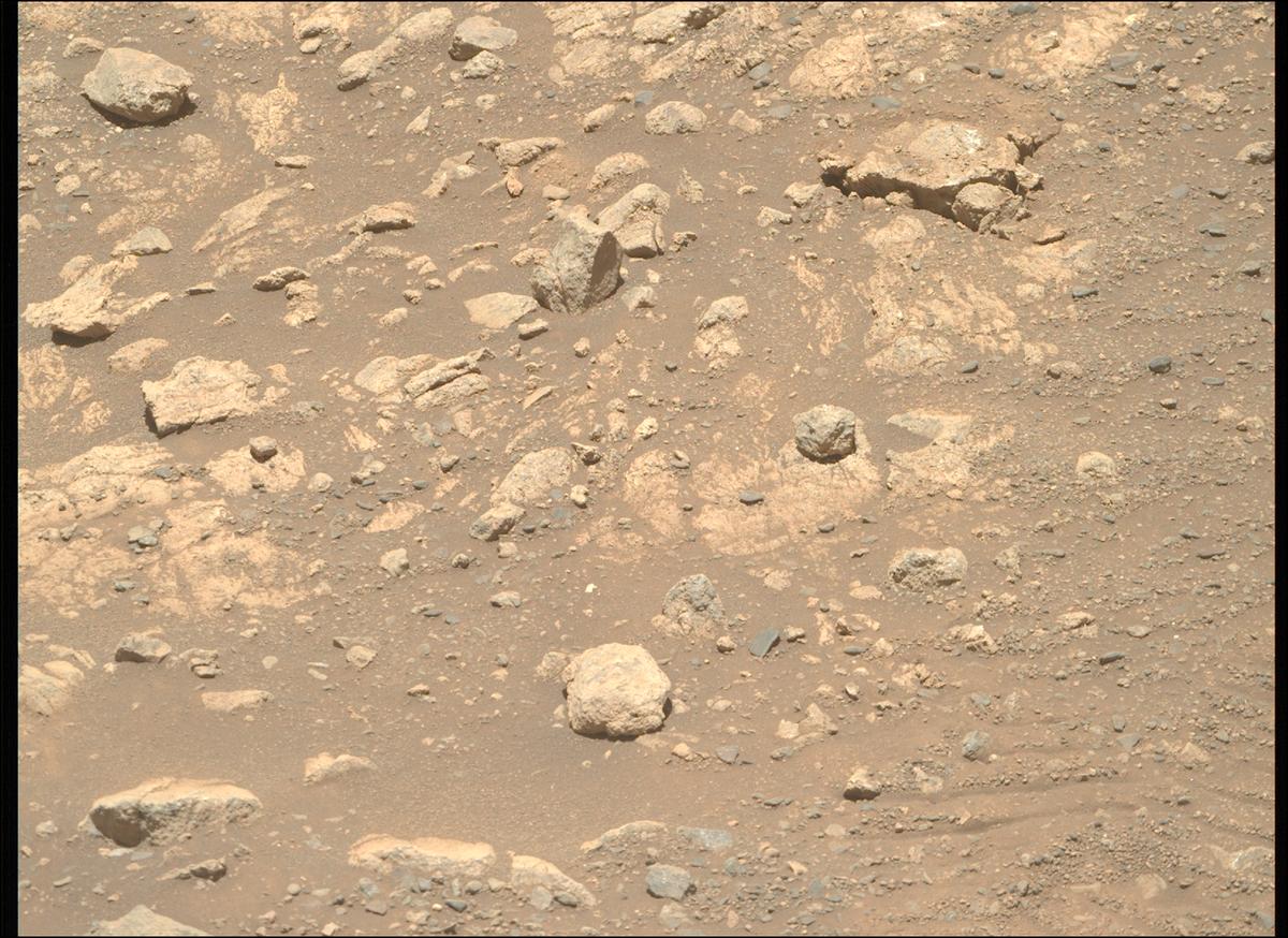 This image was taken by MCZ_RIGHT onboard NASA's Mars rover Perseverance on Sol 1645