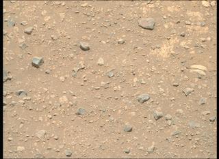View image taken on Mars, Mars Perseverance Sol 1645: Right Mastcam-Z Camera