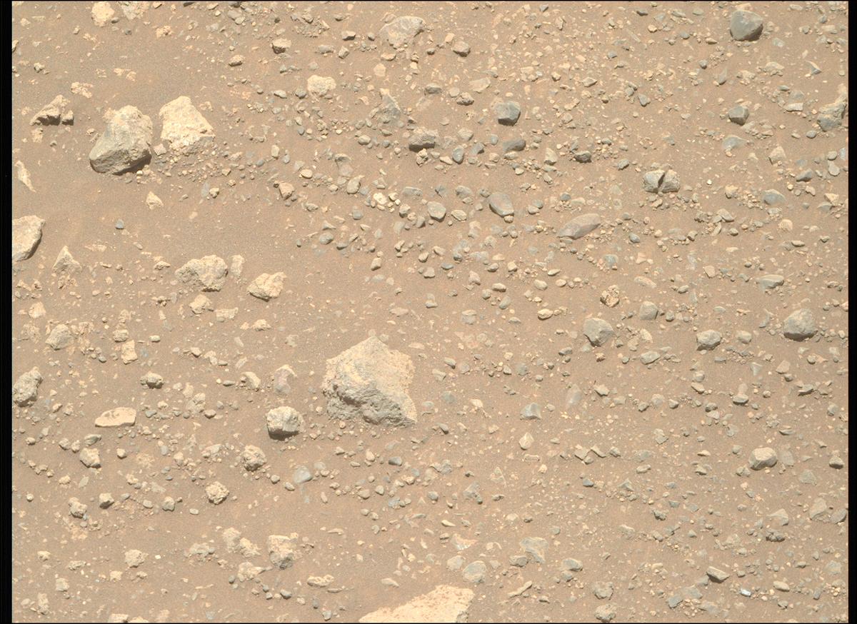 This image was taken by MCZ_RIGHT onboard NASA's Mars rover Perseverance on Sol 1645