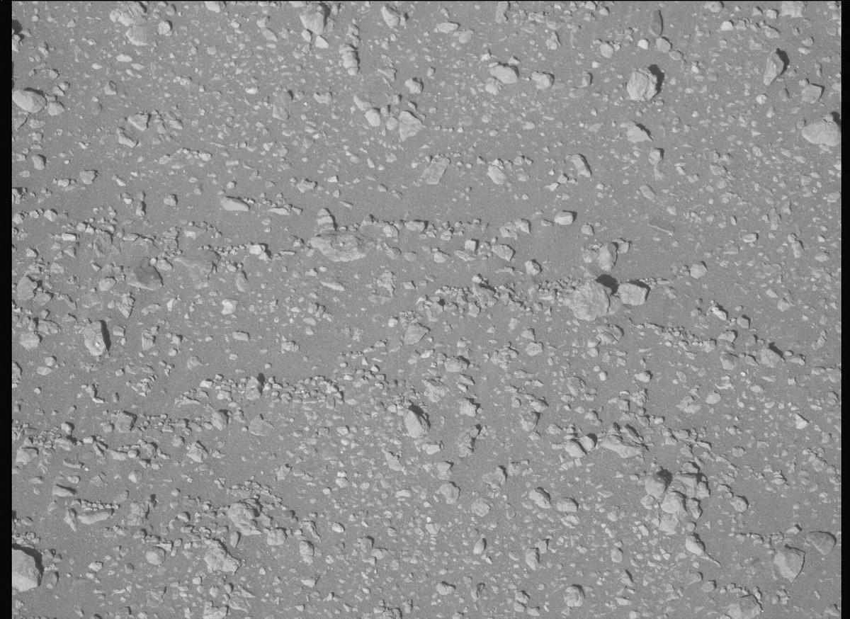 This image was taken by MCZ_LEFT onboard NASA's Mars rover Perseverance on Sol 1646