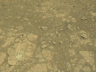 View image taken on Mars, Mars Perseverance Sol 1649: Right Navigation Camera (Navcam)