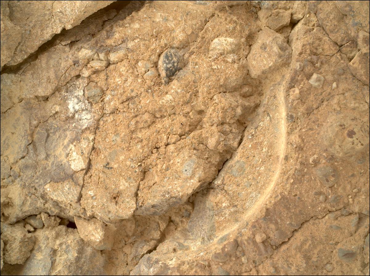 This image was taken by SHERLOC_WATSON onboard NASA's Mars rover Perseverance on Sol 1649