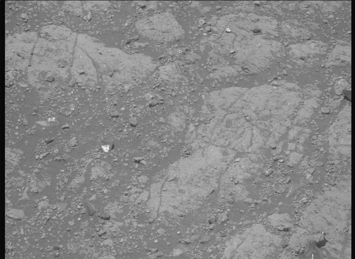 This image was taken by MCZ_LEFT onboard NASA's Mars rover Perseverance on Sol 1649