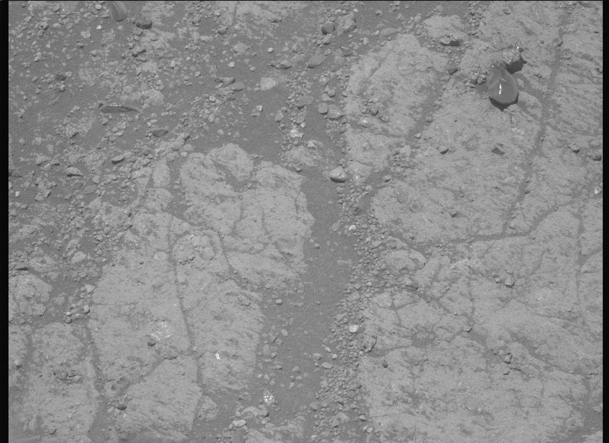 This image was taken by MCZ_LEFT onboard NASA's Mars rover Perseverance on Sol 1649