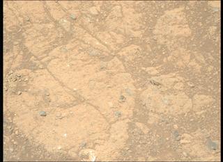 View image taken on Mars, Mars Perseverance Sol 1649: Left Mastcam-Z Camera