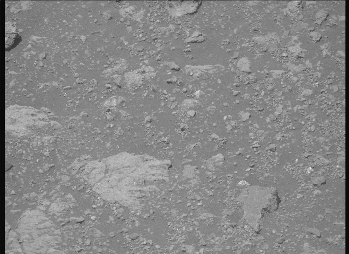 This image was taken by MCZ_RIGHT onboard NASA's Mars rover Perseverance on Sol 1649