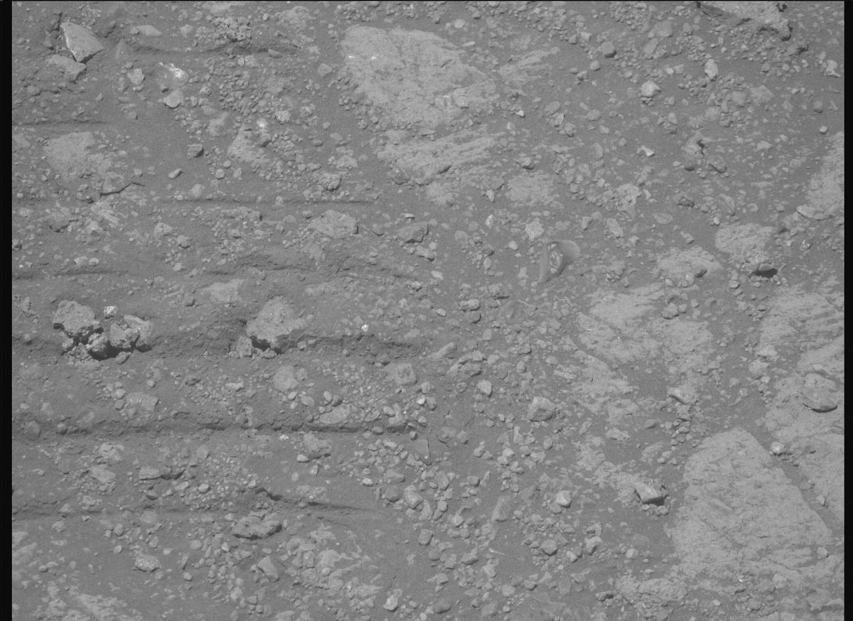 This image was taken by MCZ_RIGHT onboard NASA's Mars rover Perseverance on Sol 1649