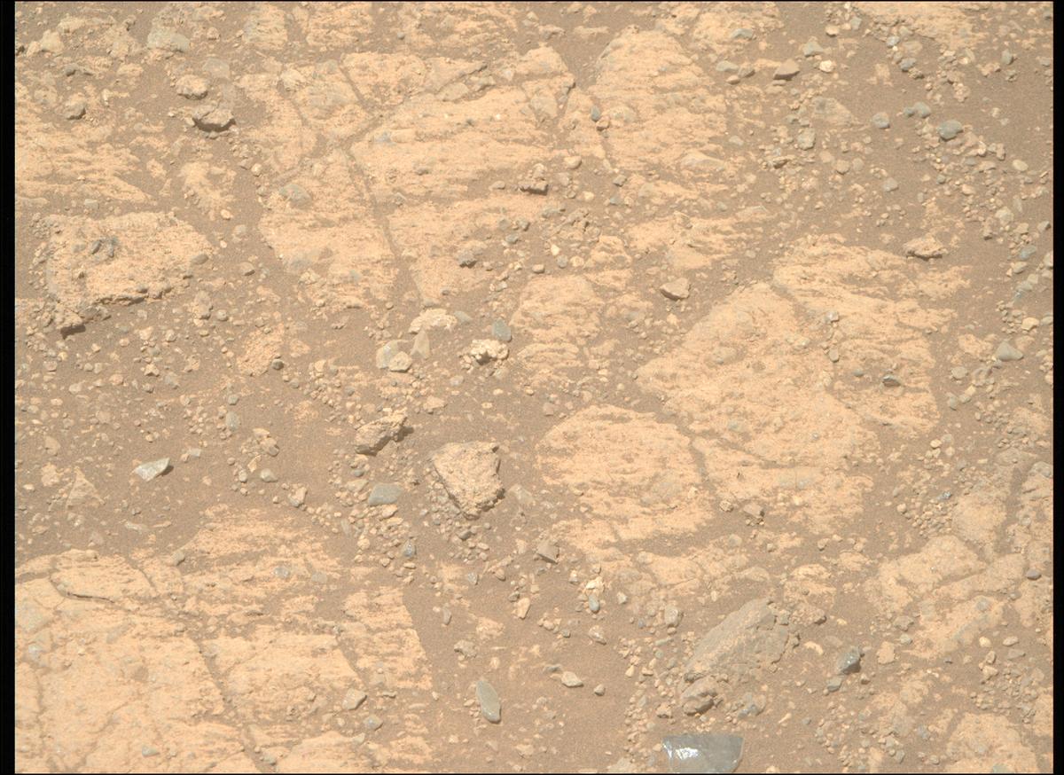This image was taken by MCZ_RIGHT onboard NASA's Mars rover Perseverance on Sol 1649