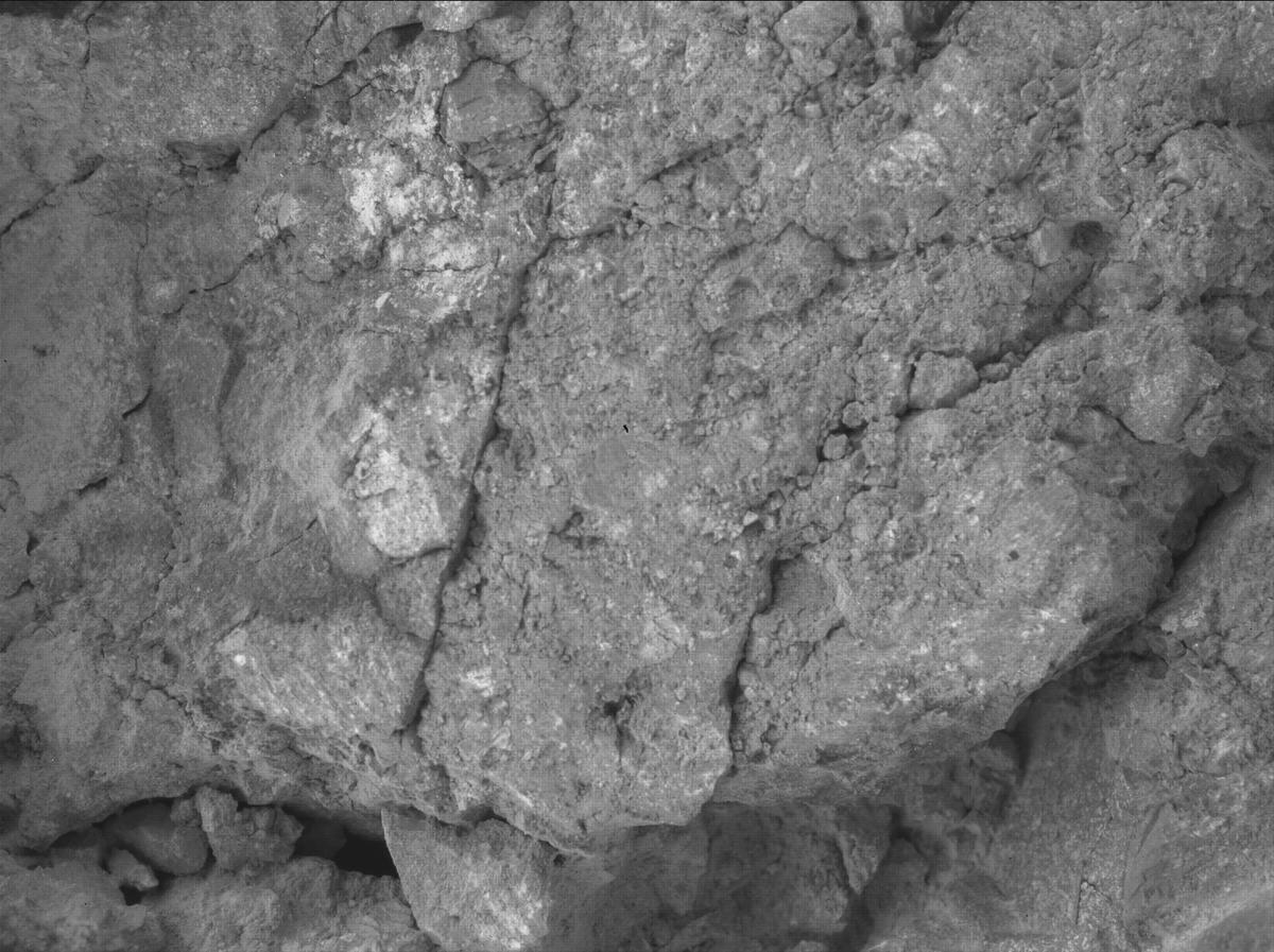 This image was taken by SHERLOC_WATSON onboard NASA's Mars rover Perseverance on Sol 1650