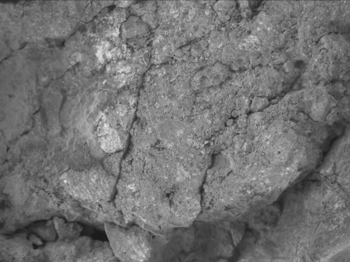 This image was taken by SHERLOC_WATSON onboard NASA's Mars rover Perseverance on Sol 1650