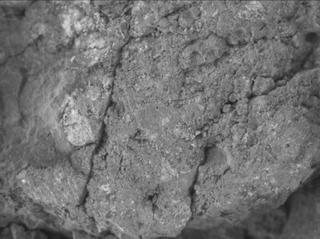 View image taken on Mars, Mars Perseverance Sol 1650: WATSON Camera 