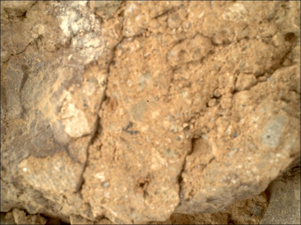 This image was taken by SHERLOC_WATSON onboard NASA's Mars rover Perseverance on Sol 1650