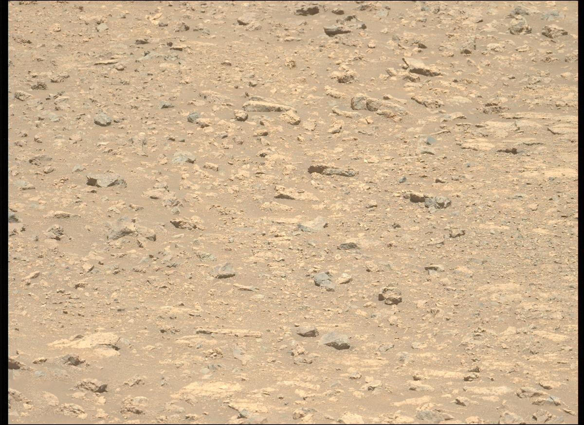 This image was taken by MCZ_LEFT onboard NASA's Mars rover Perseverance on Sol 1650