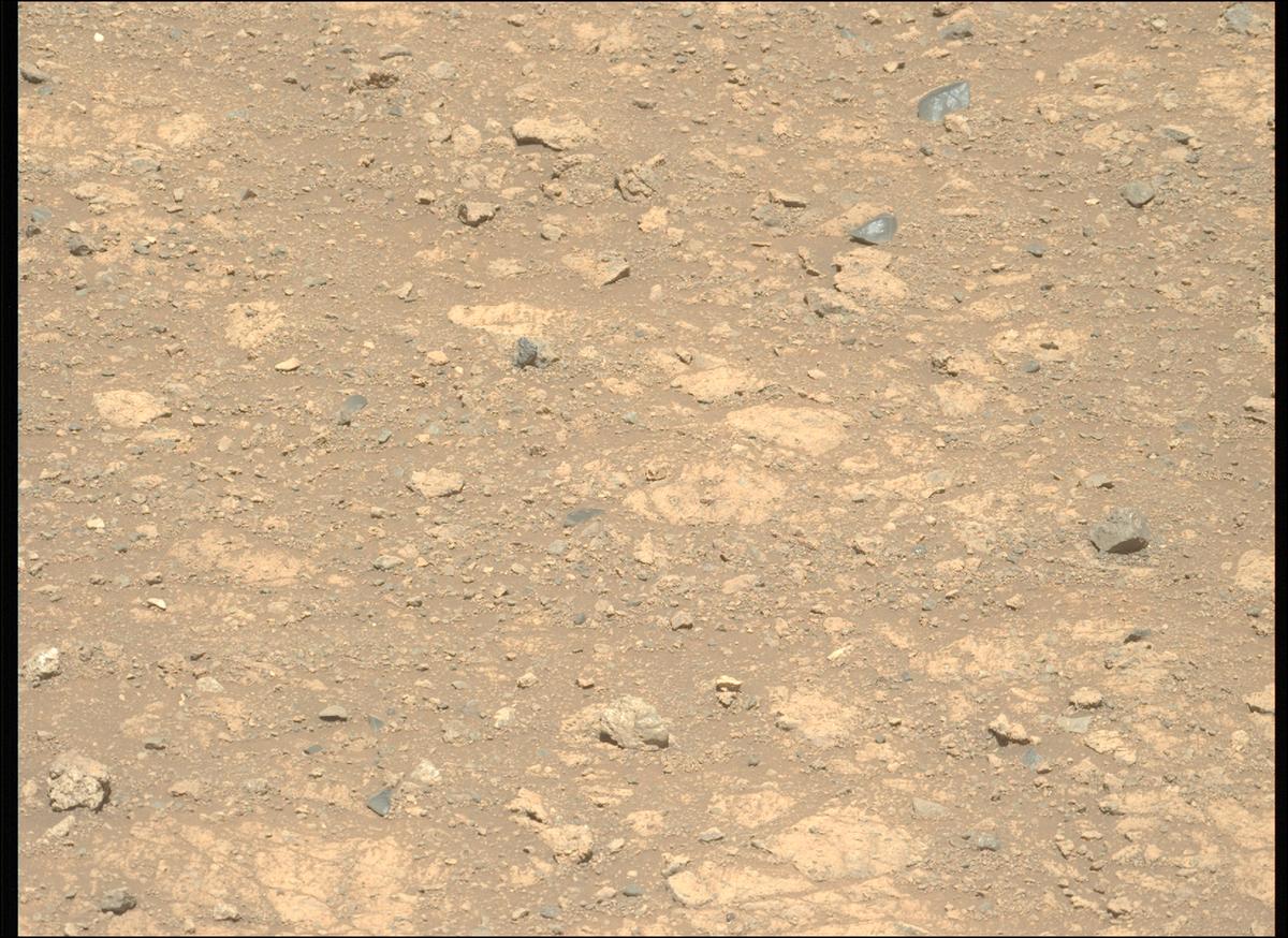 This image was taken by MCZ_LEFT onboard NASA's Mars rover Perseverance on Sol 1650
